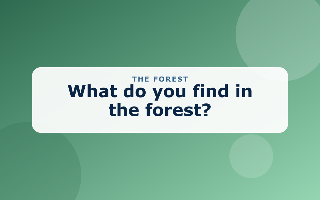 Cartoon forest with pine trees, a deer, an owl, and a creek